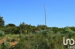 Terrain agricole à Carnota