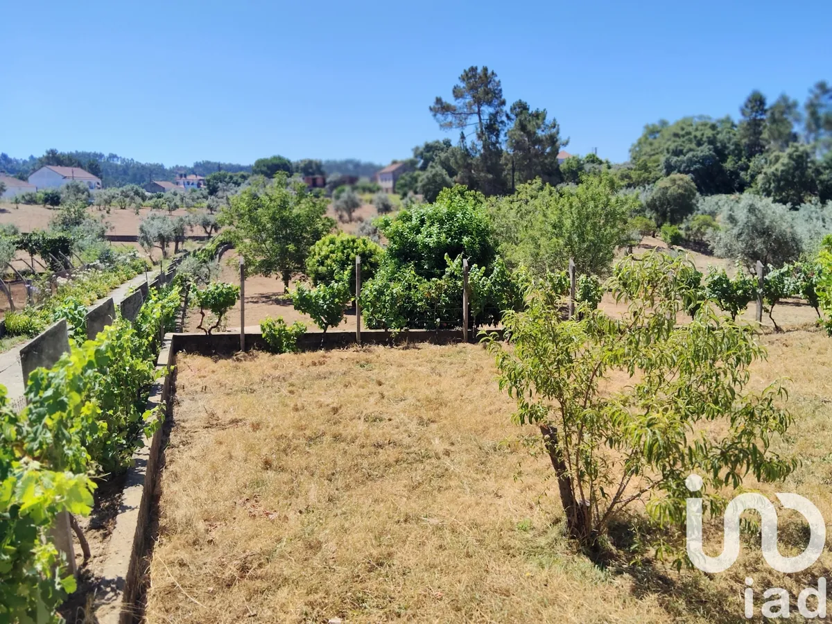 Terreno de 1600 m² em Castelo