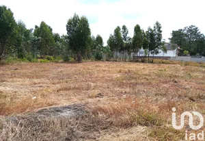 Farm land at Marinha Grande