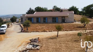 Domain  in Algoz