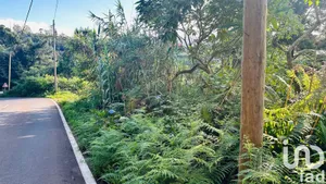 Farm land  at Santana