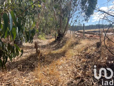 Fotografia 7 de Terreno urbano de 171 m² em Vimeiro