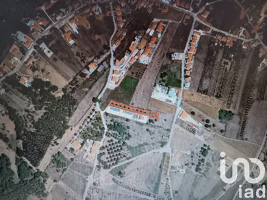 Terrain agricole à Aljubarrota