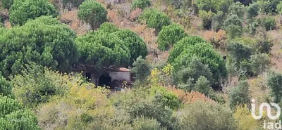 Fotografia 7 de Terreno de 4250 m² em Sobral da Abelheira