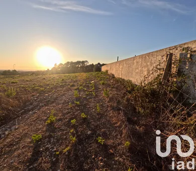 Terrain  à Mafra