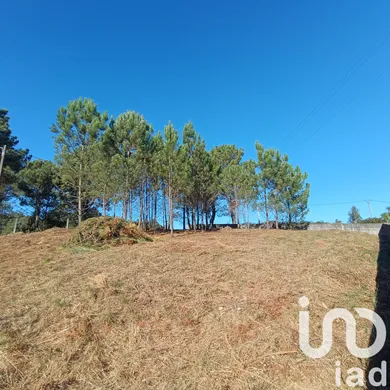 Terrain à bâtir à Nogueira