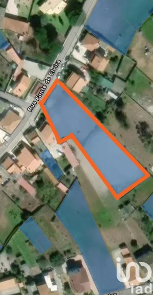 Farm land at Vieira de Leiria