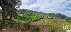 Terreno rústico  em MAFRA
