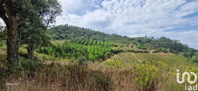 Farm land  in MAFRA
