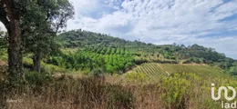 Farm land  in MAFRA