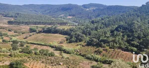 Farm land  in mafra