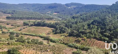Fotografia 6 de Terreno de 4250 m² em Sobral da Abelheira