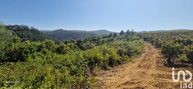 Terreno rústico em mafra