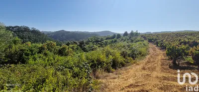 Fotografia 3 de Terreno rústico de 24 301 m² em mafra