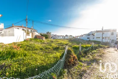 Fotografia 3 de Terreno rústico de 4372 m² em Nazaré