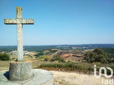 Fotografia 5 de Terreno rústico de 3360 m² em Rio Maior