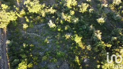 Fotografia 3 de Terreno rústico de 3400 m² em Chãos