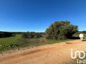 Land  at ALBUFEIRA
