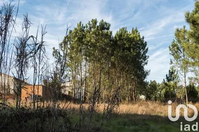 Terrain  à Marinha Grande