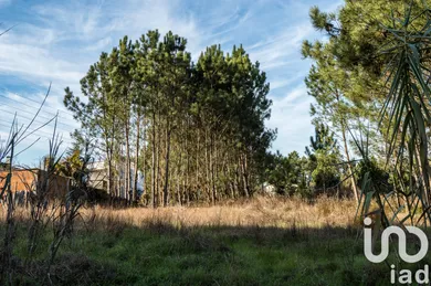 Terrain  à Marinha Grande