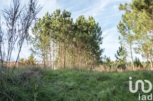 Terreno  em Marinha Grande