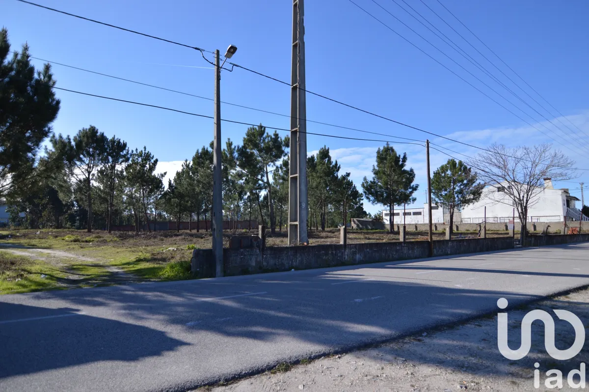 Terreno urbano de 6250 m² em Marinha Grande