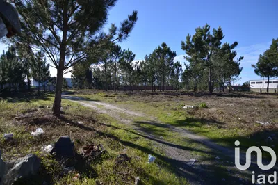 Fotografia 3 de Terreno urbano de 6250 m² em Marinha Grande