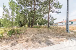 Farm land at Marinha Grande