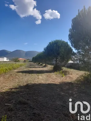 Farm land at Aljubarrota