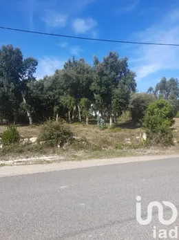 Terreno rústico em Aljubarrota