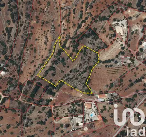 Terrain agricole   à Estoi