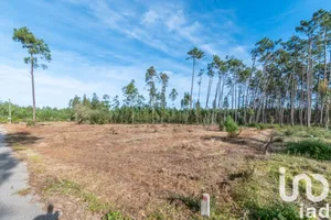 Land at Monte Redondo