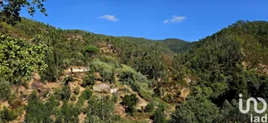 Mixed land  at Monchique