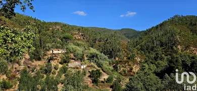 Mixed land at Monchique