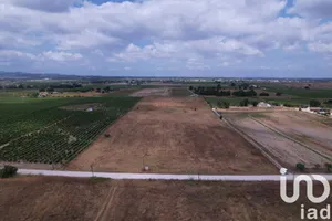Terrain à Palmela