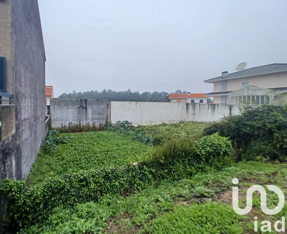 Terreno urbano de 240 m² em Perozinho