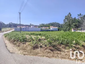 Farm land at Maceira