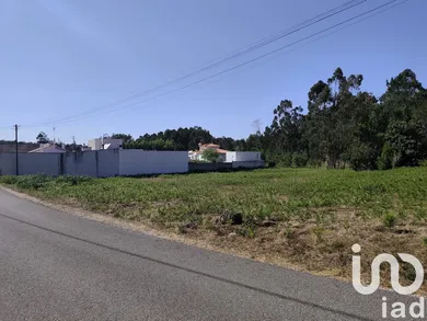 Terreno rústico  em Maceira