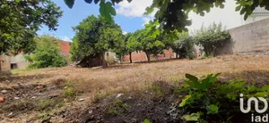 Building plot  in Amor