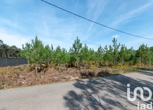 Farm land at Marinha Grande