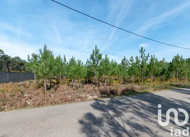 Farm land at Marinha Grande