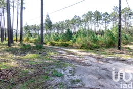 Farm land in Marinha Grande