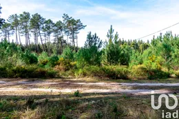 Farm land in Marinha Grande