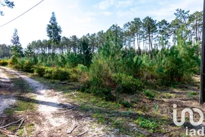 Farm land at Marinha Grande