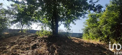 Terreno  em Paredes de Coura