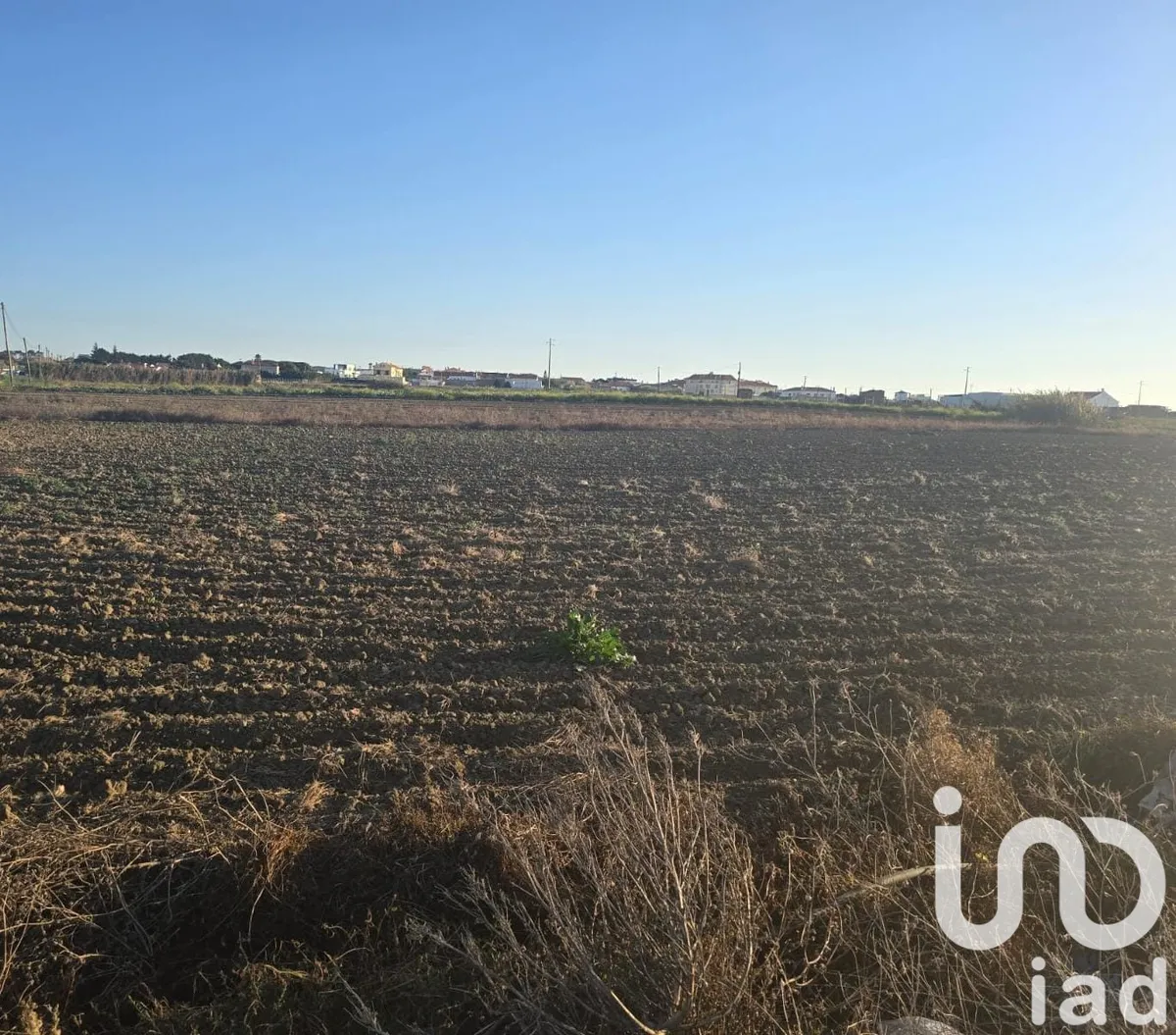 Terreno rústico de 1000 m² em Atouguia da Baleia