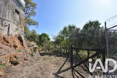 Farm in Penela