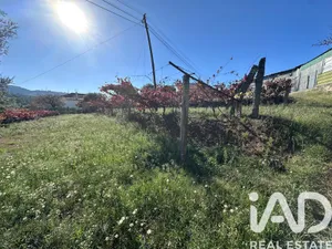 Farm land  at Fornelos