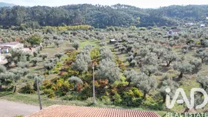 Farm land  at Coimbra