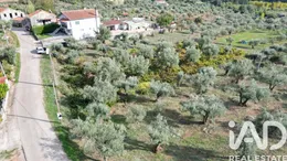 Terrain agricole à Penela